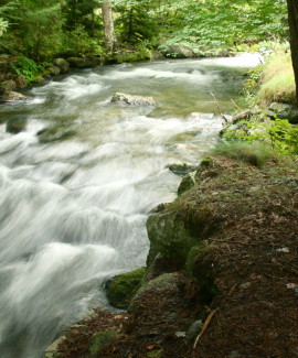 clean water for maine Tunk Stream from TunkLake