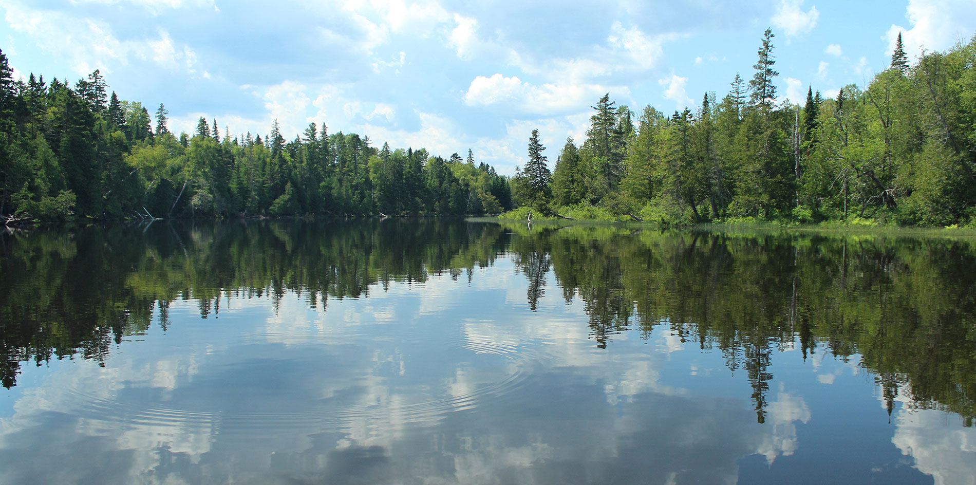 Square Lake Thoroughfare, part of the Fish River Chain of Lakes. Photo by Ann Flewelling