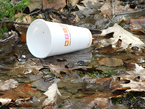 plastic pollution in Maine