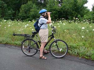 birding by bike in Maine
