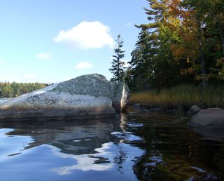 Snow Cove Preserve