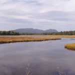 Bass Harbor by Richard Bailor