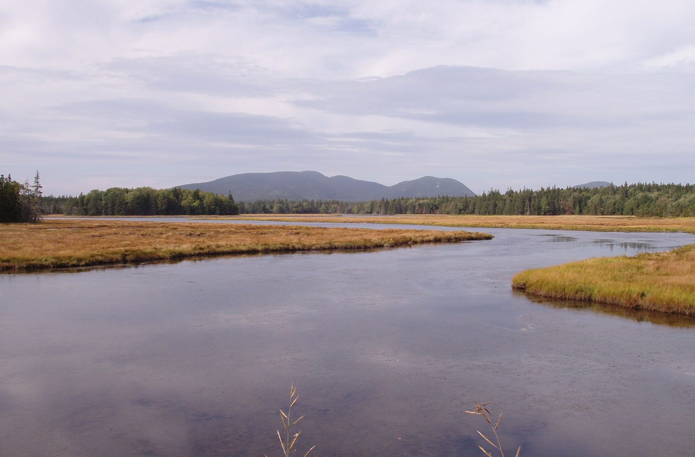 Bass Harbor by Richard Bailor