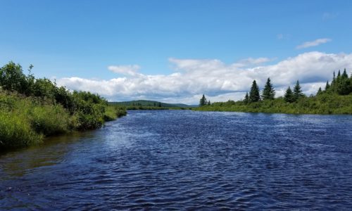 Allagash River