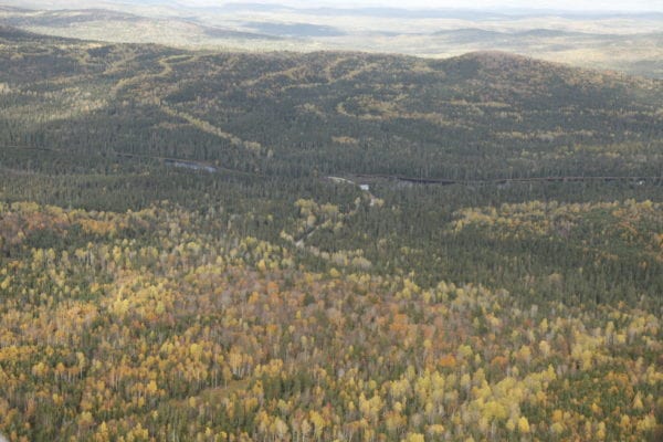 Maine's North Woods
