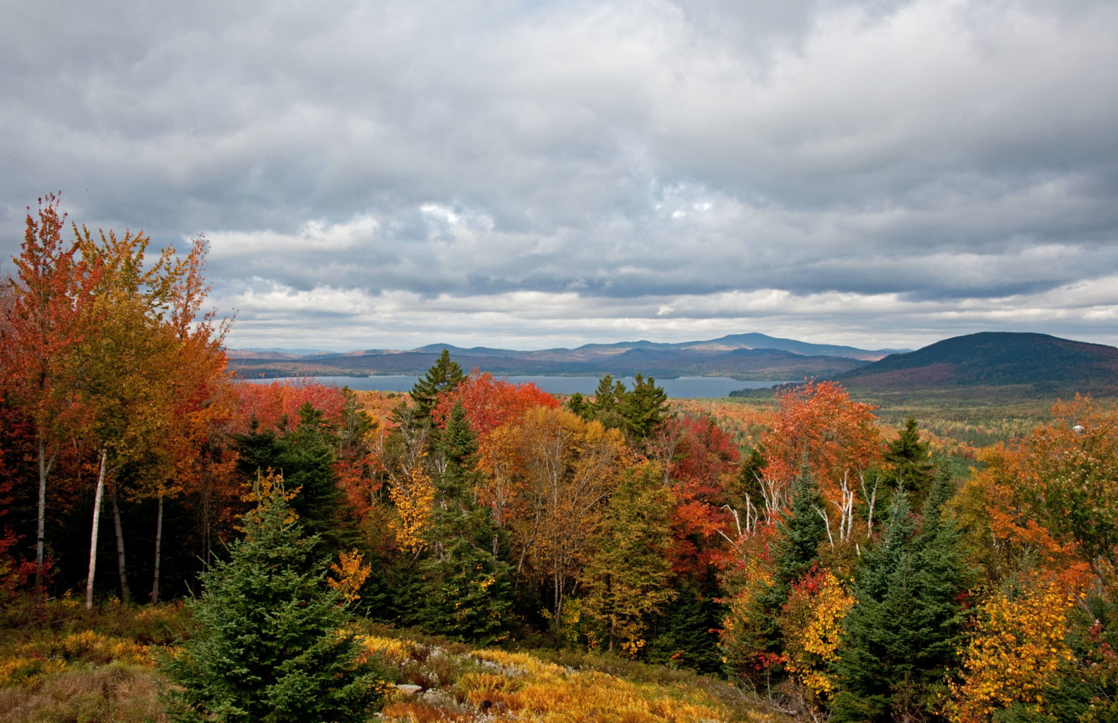 Maine North Woods Protection Natural Resources Council of Maine