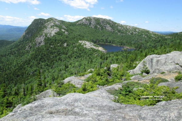 Tumbledown