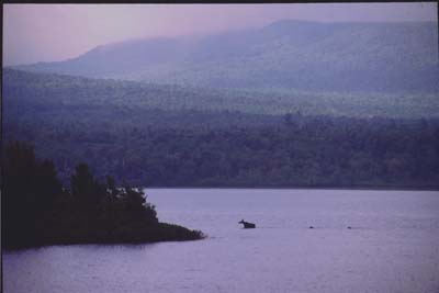Last Resort Cabins and Campground