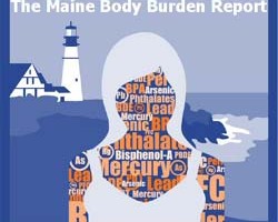 The Maine Body Burden Report