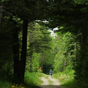 Aroostook Rail Trail