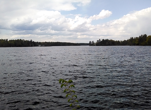 Cobbosseecontee Lake