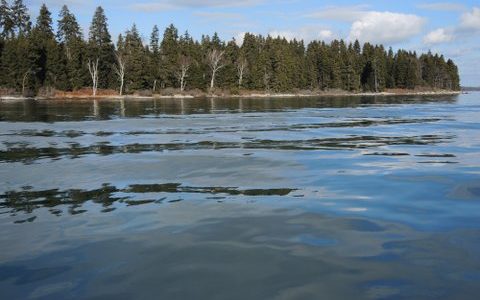 Whaleboat Island