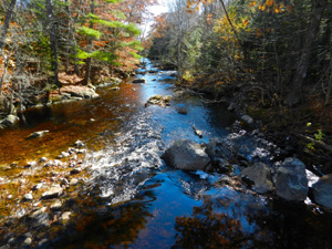 Ducktrap Preserve Lincolnville by Judy Berk1