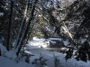 Ducktrap Preserve Lincolnville by Judy Berk