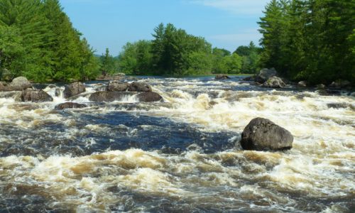 East Branch Penobscot Jon Luoma