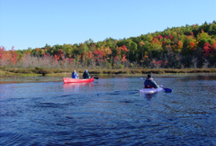 Photo courtesy of Androscoggin Land Trust.