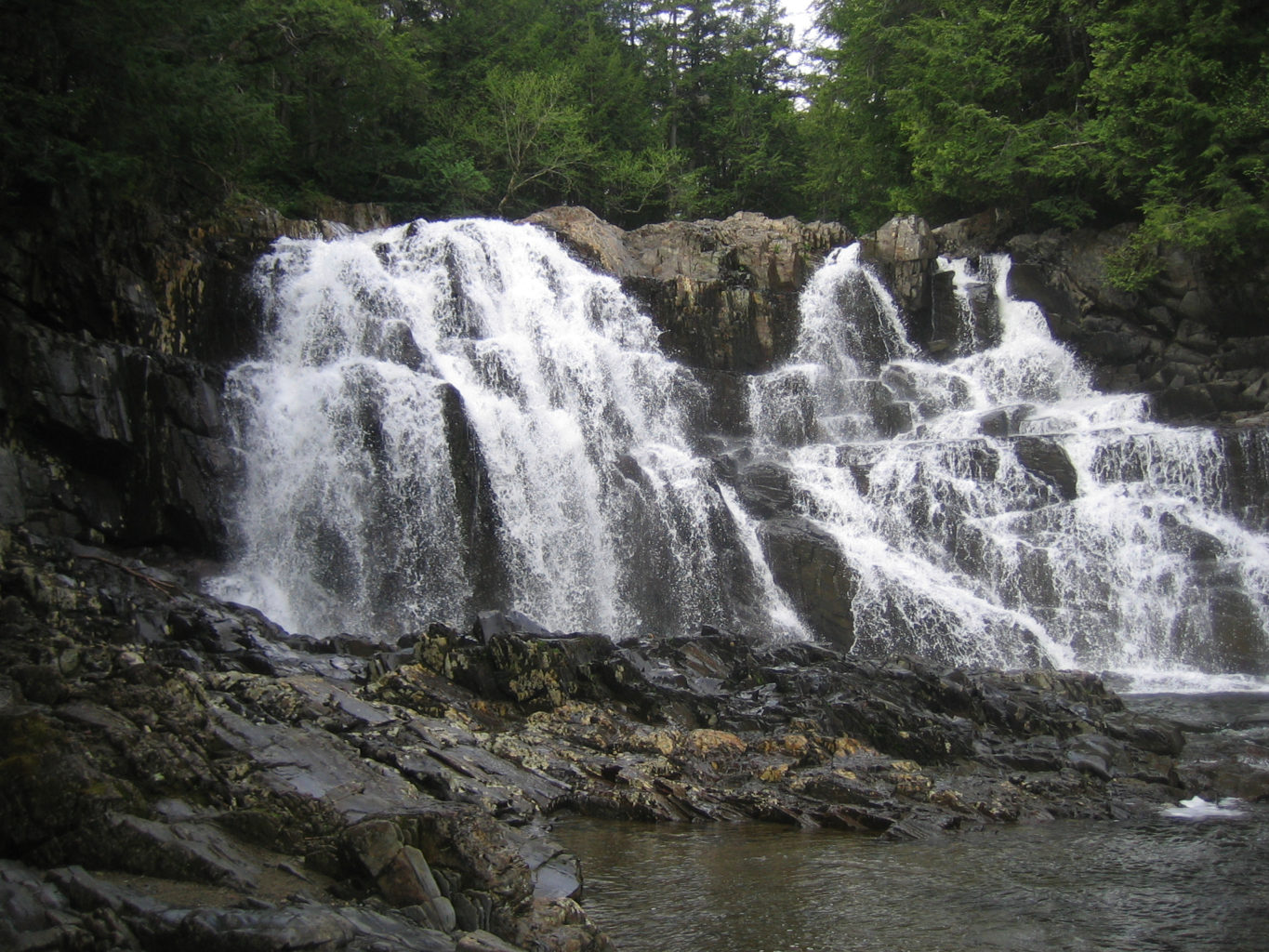 My Maine This Week Sam Horine Natural Resources Council of Maine