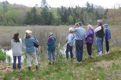 Lobster Cove Meadow - a great place for birding. Photo by Allison Childs Wells 