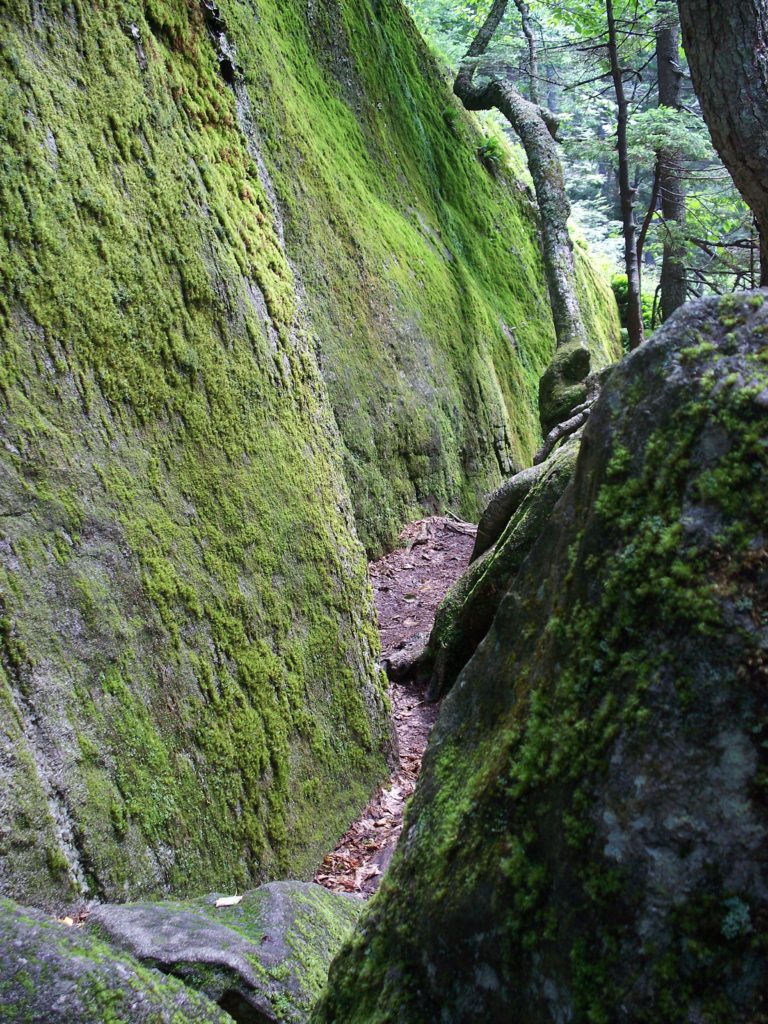 Moose Cave