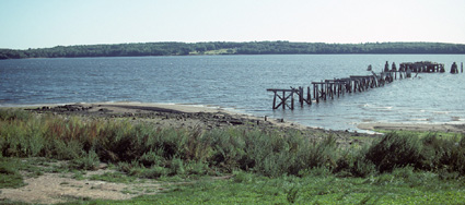 SandyPointBeach-Pilings