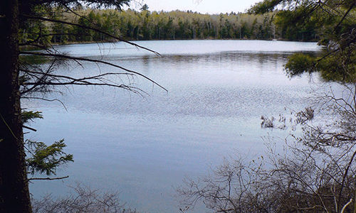 Sprague Pond by Bob Cummings