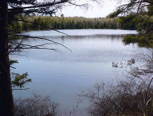 Sprague Pond by Bob Cummings