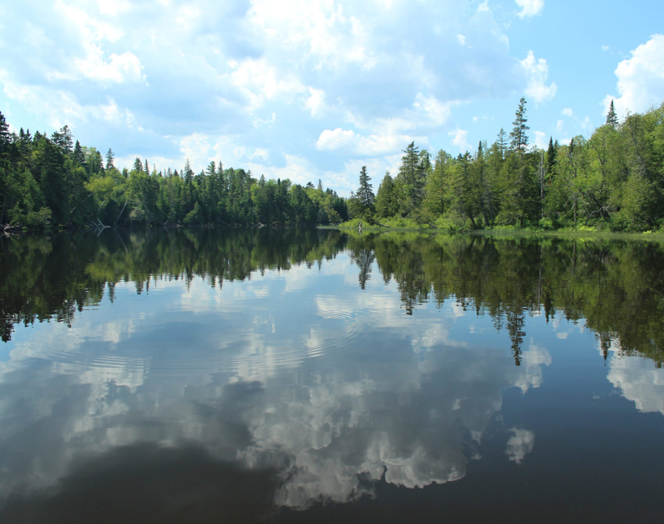 Protecting Maine's Environment Natural Resources Council of Maine