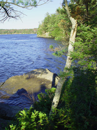 Thorne Head. Photo courtesy of LMF and its partner organizations. 