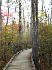 Ferry Beach State Park. Photo by Beth Dimond.