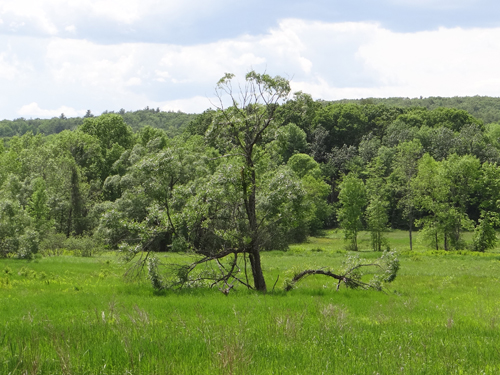 Hiatt Farm