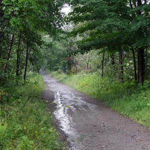 Jay to Farmington Rail Trail