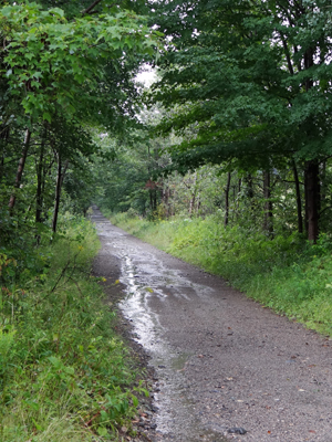 Jay to Farmington Rail Trail