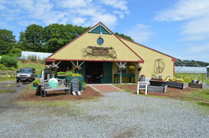 Jordan Farm 