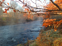 Photo courtesy of Georges River Land Trust