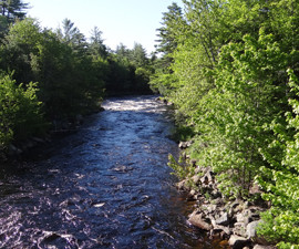 Machias River photo by Beth Comeau