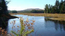 This is the hiking entry of the Elliotsville Plantation Loop Road