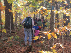 hiking with friends