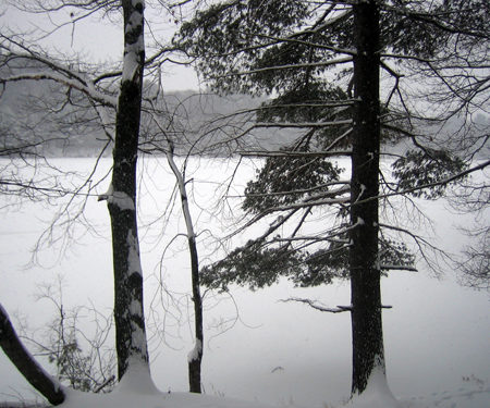 winter snowstorm