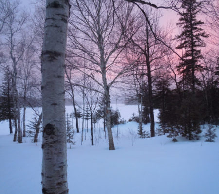 Late Winter