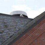 Snowy Owl in the Old Port