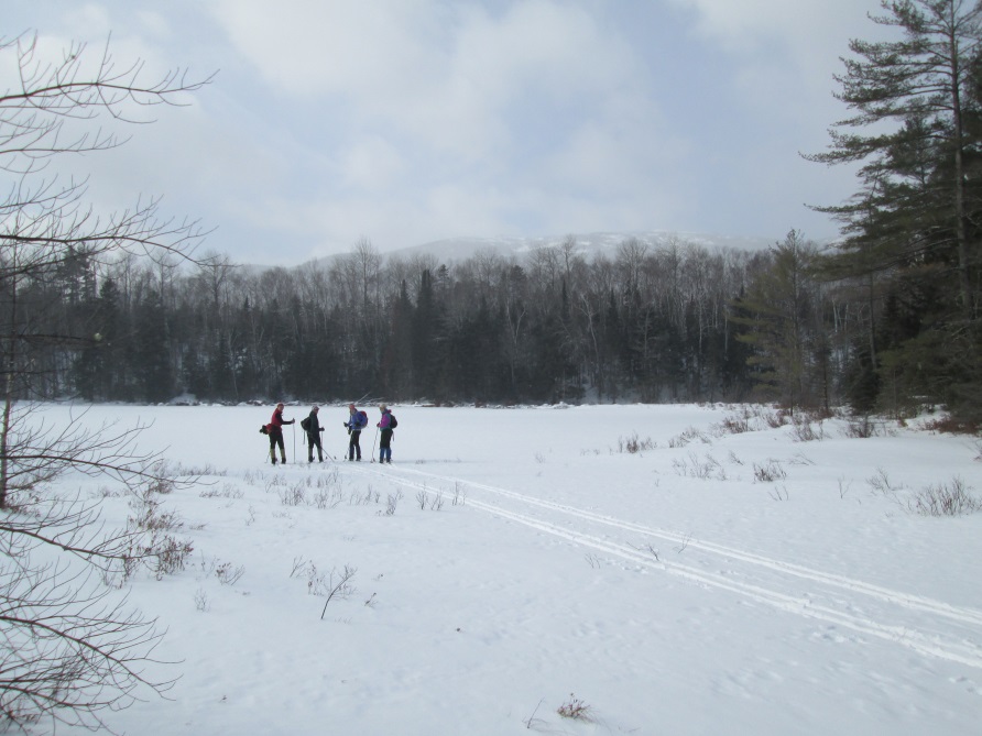 skiers near frozen pond