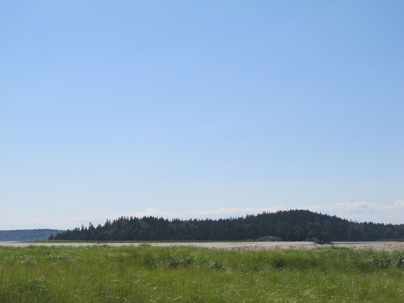 Morse Mountain from Popham Beach