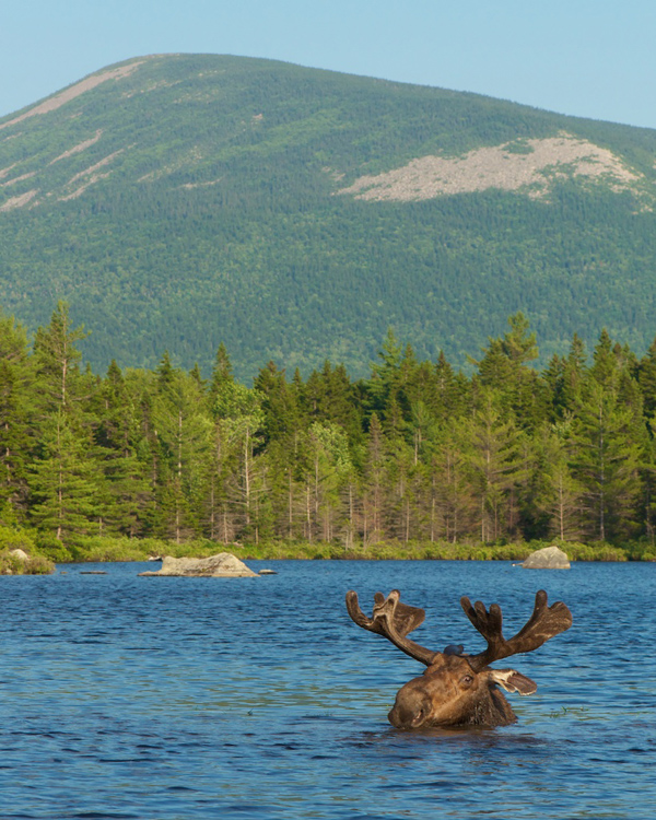 Russell Pond Hike by Gerard Monteux