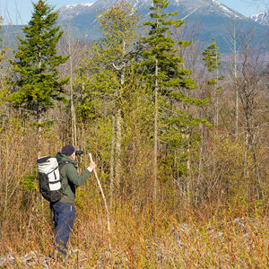 birding in proposed national park