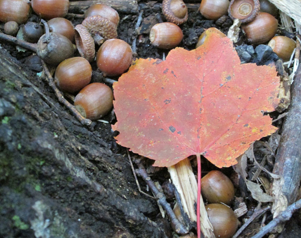 Stories of the Land and Its People - photograph by Marley P Grade 4