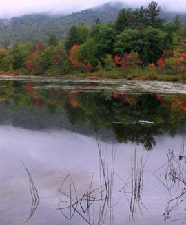 Beaver Pond below Pleasant Mtn RVP