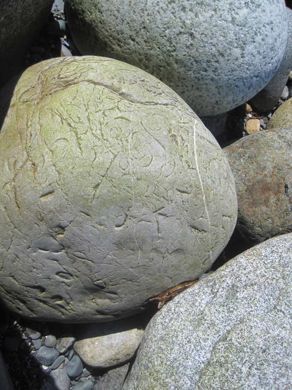 Monhegan beach rocks Karyl Condit