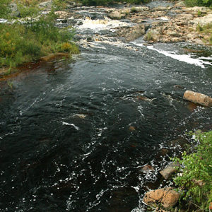 Narraguagus River