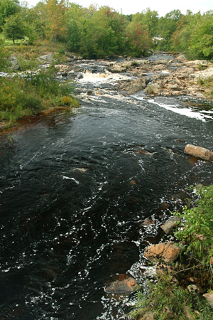 Narraguagus River