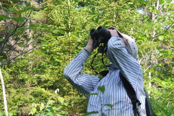 birding16 birding
